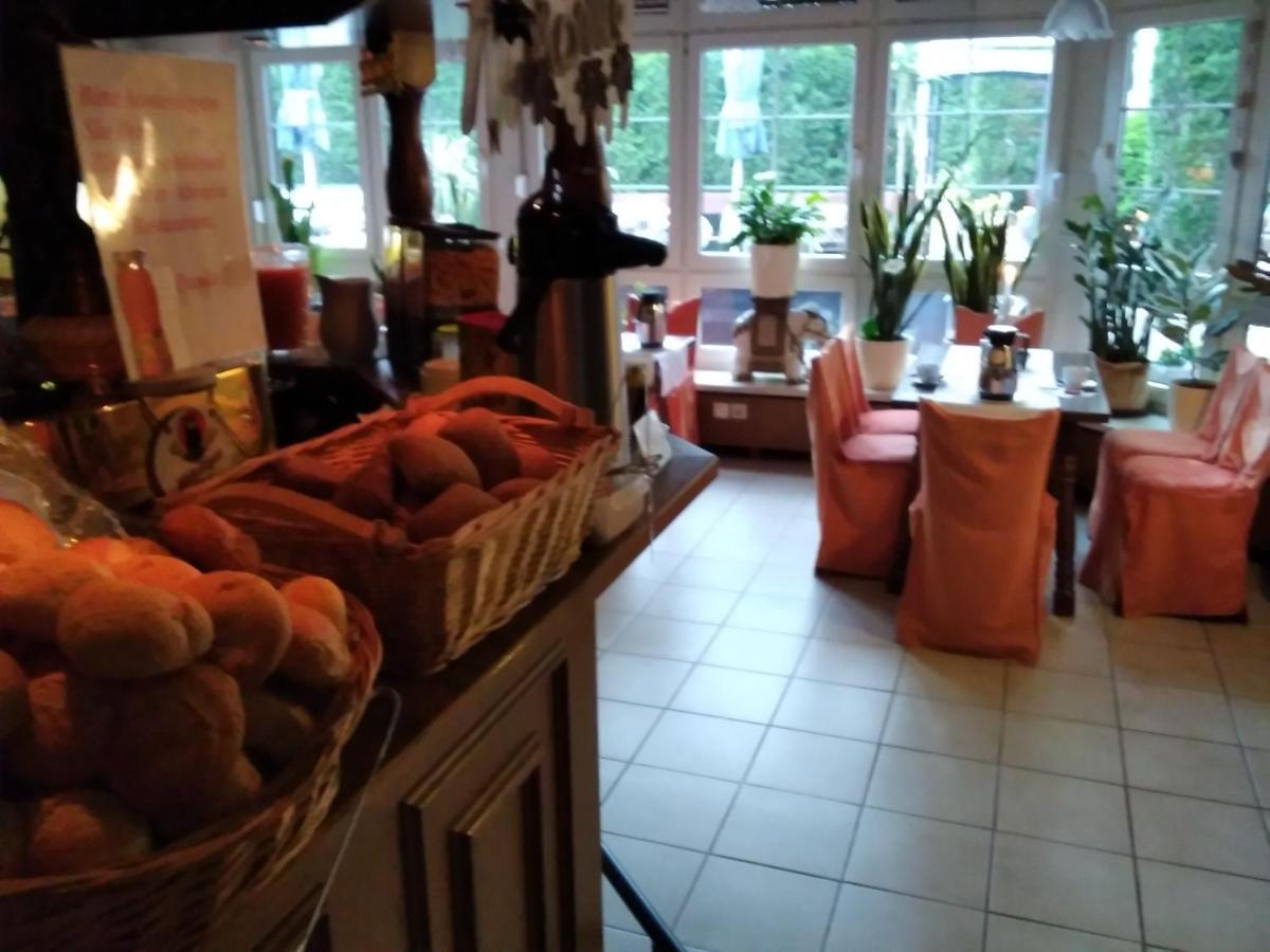 Pension Schulze Oranienbaum-Woerlitz Exteriör bild